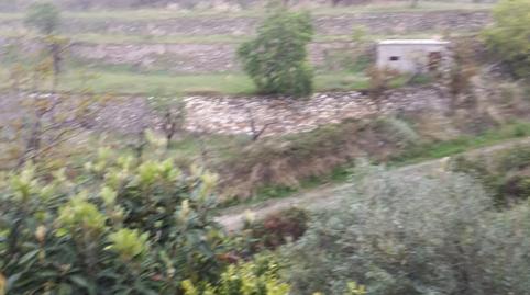 Foto 3 de Finca rústica en venda a Sierro, Almería