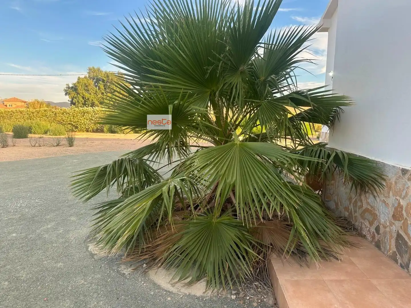 Vista exterior de Casa o chalet en venta en Lorca