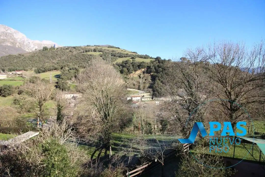 Exterior view of Houses for sale in Camaleño  with Heating, Private garden and Terrace