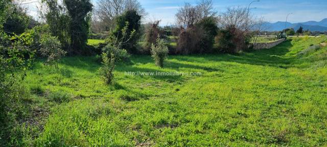 Finca rústica en Venta en Cristo Rey - Parque Europa