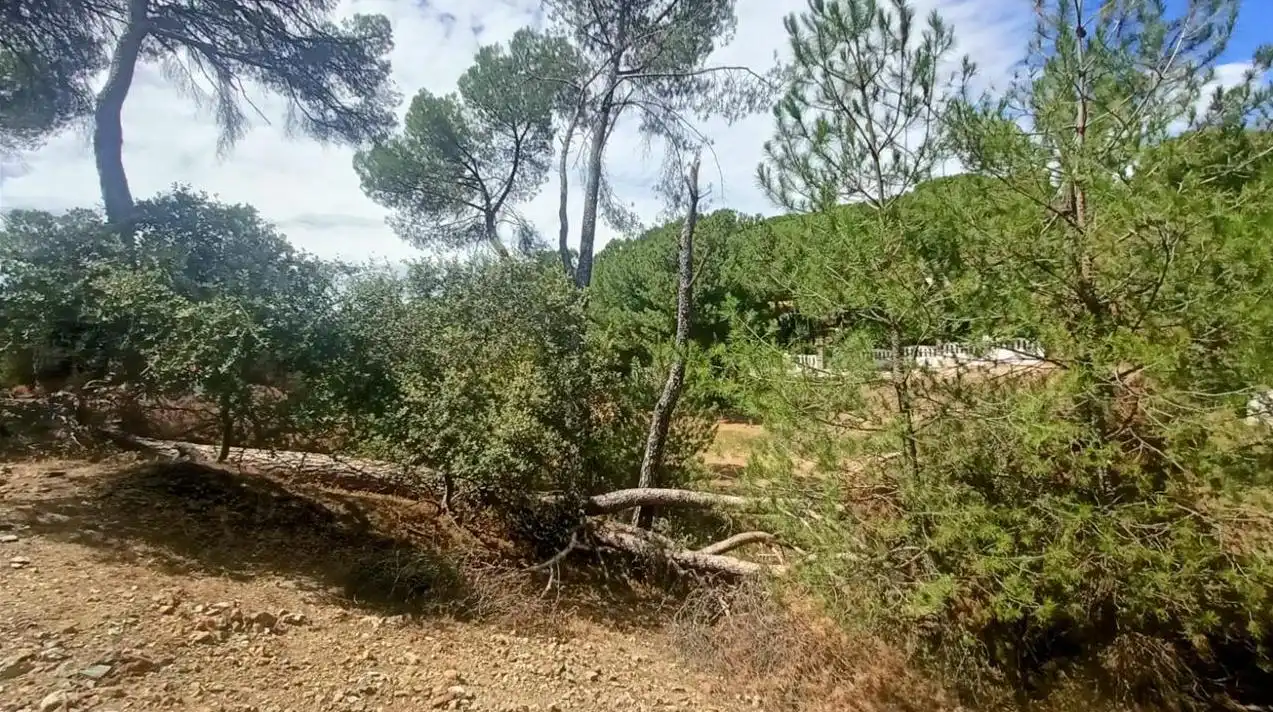 Lands and plots for sale in Campamento, imagen 4