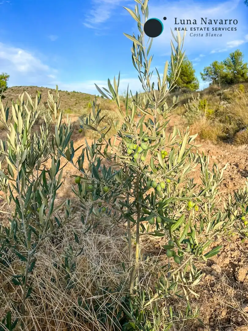 Terreno en venta en Calle San Antonio, 50, Confrides