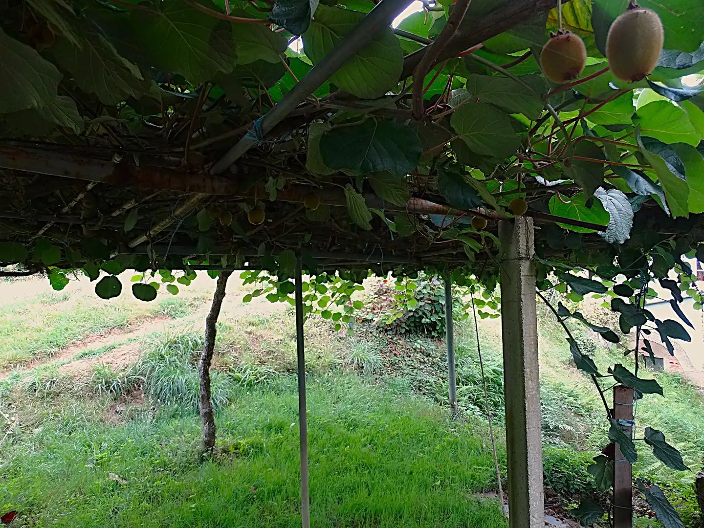 Jardí de Finca rústica en venda en Narón amb Calefacció, Jardí privat i Parquet