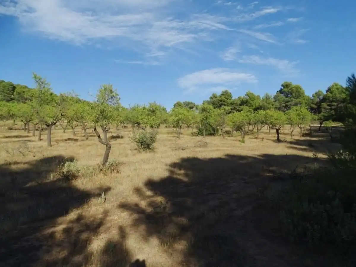 Landhaus zum Verkauf in Horta de Sant Joan, imagen 20