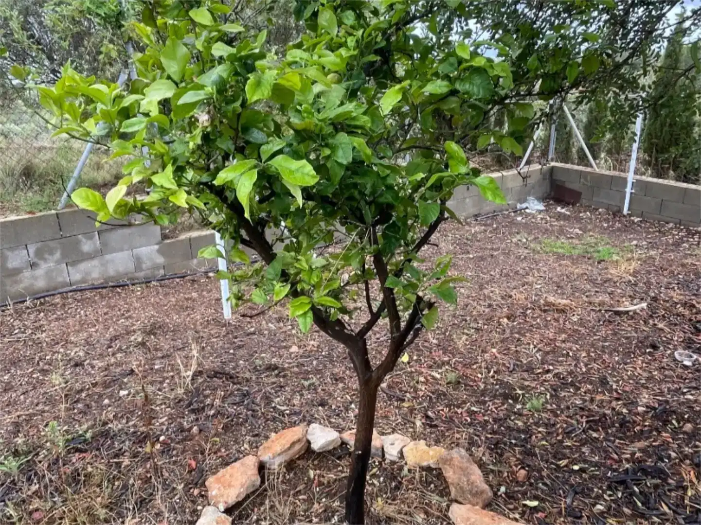 Jardín de Piso en venta en L'Ametlla de Mar  con Aire acondicionado, Jardín privado y Trastero