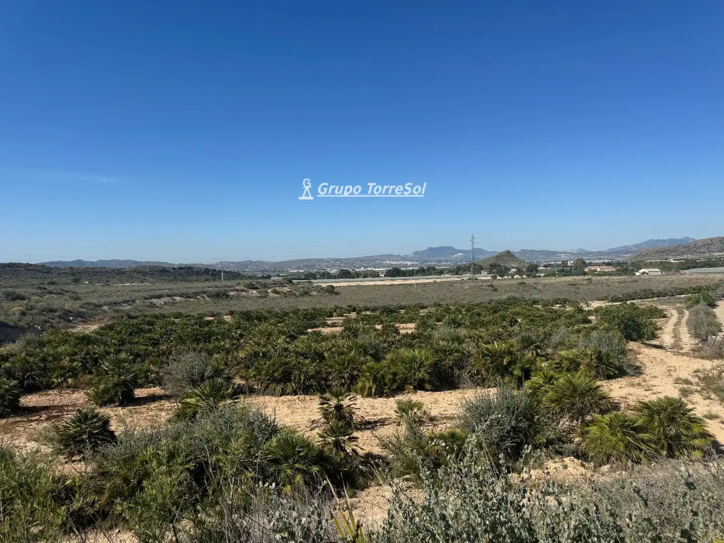 Land for sale in Monforte del Cid