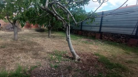 Foto 5 de Residencial en venta en Pozuelo de Calatrava, Ciudad Real