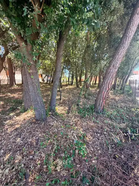Residential land for sale in Carrer Tulipa, imagen 4