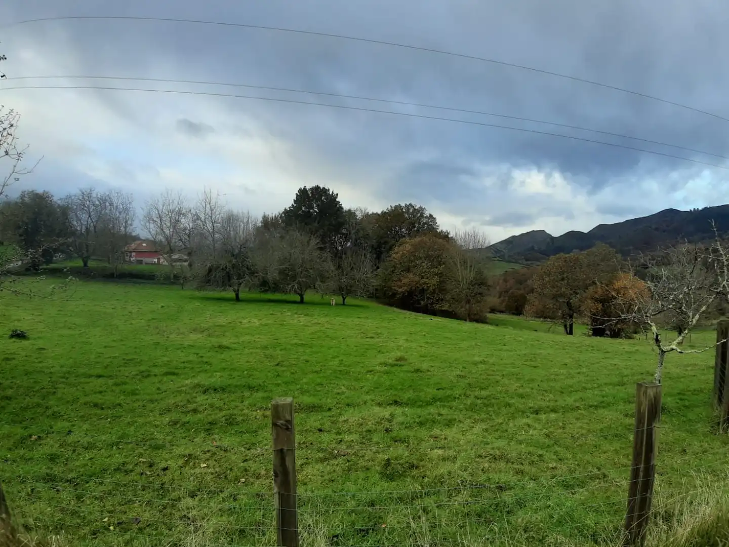 Terrenos y solares en venta en Parres, imagen 2