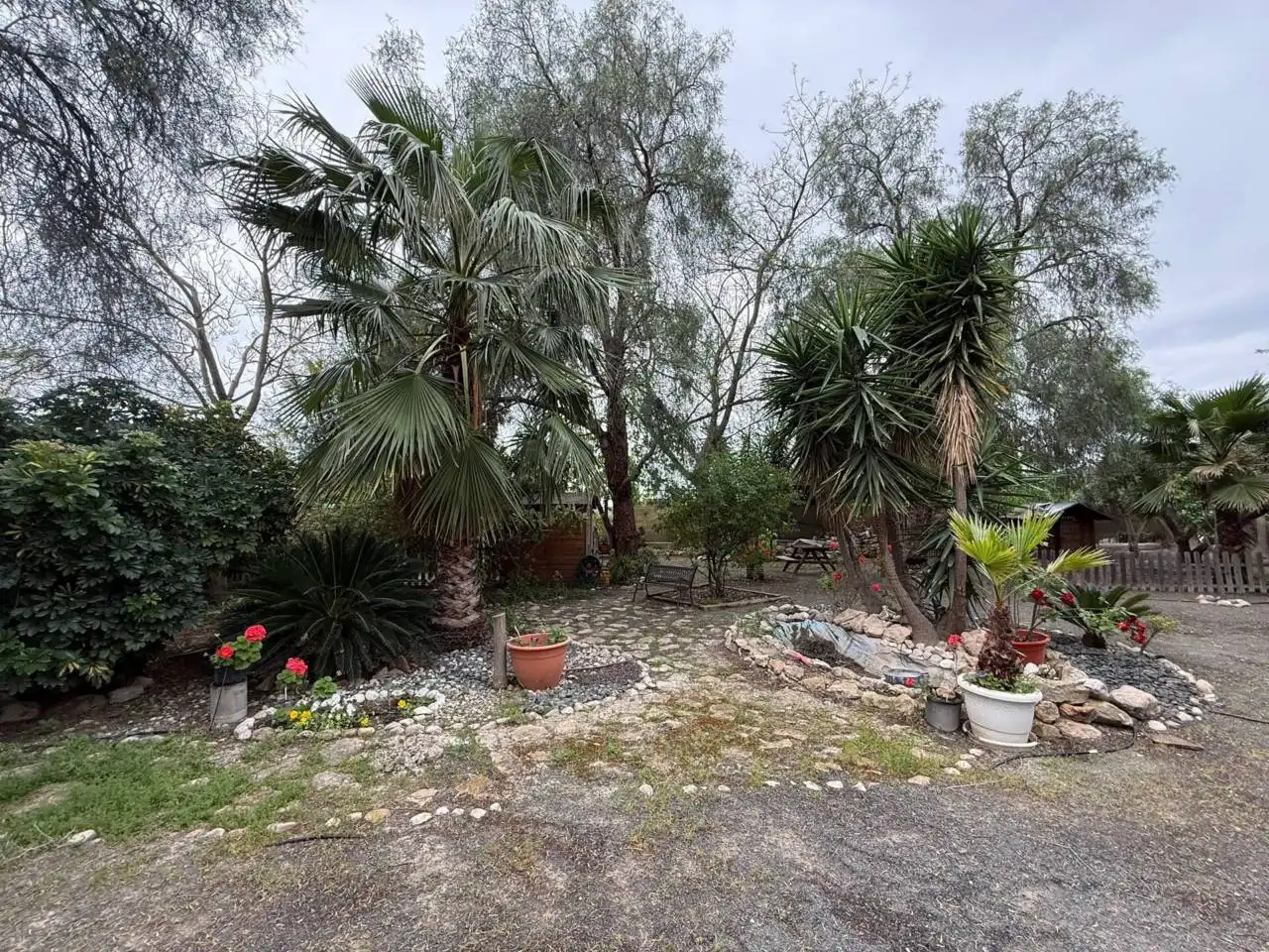 Terreno en venta en Cieza