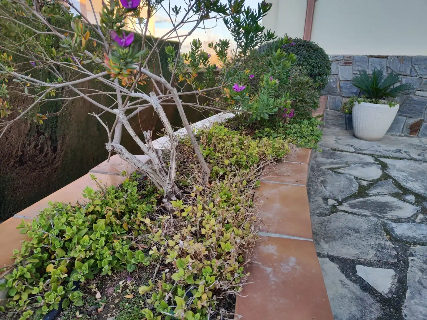 Casa o chalet en venta en valles, Canovelles