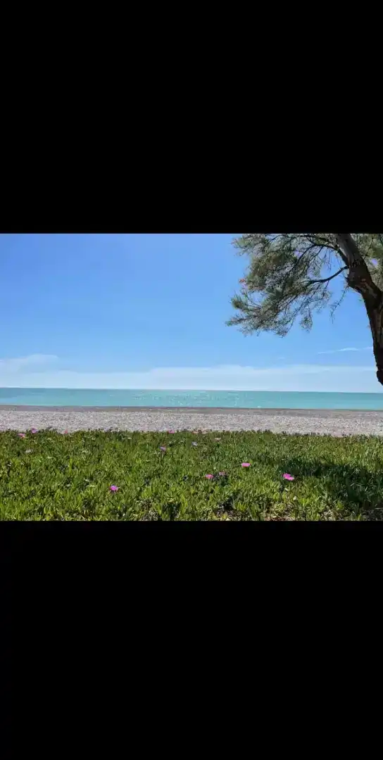 Vista exterior de Apartament de lloguer en Moncofa amb Piscina i Balcó