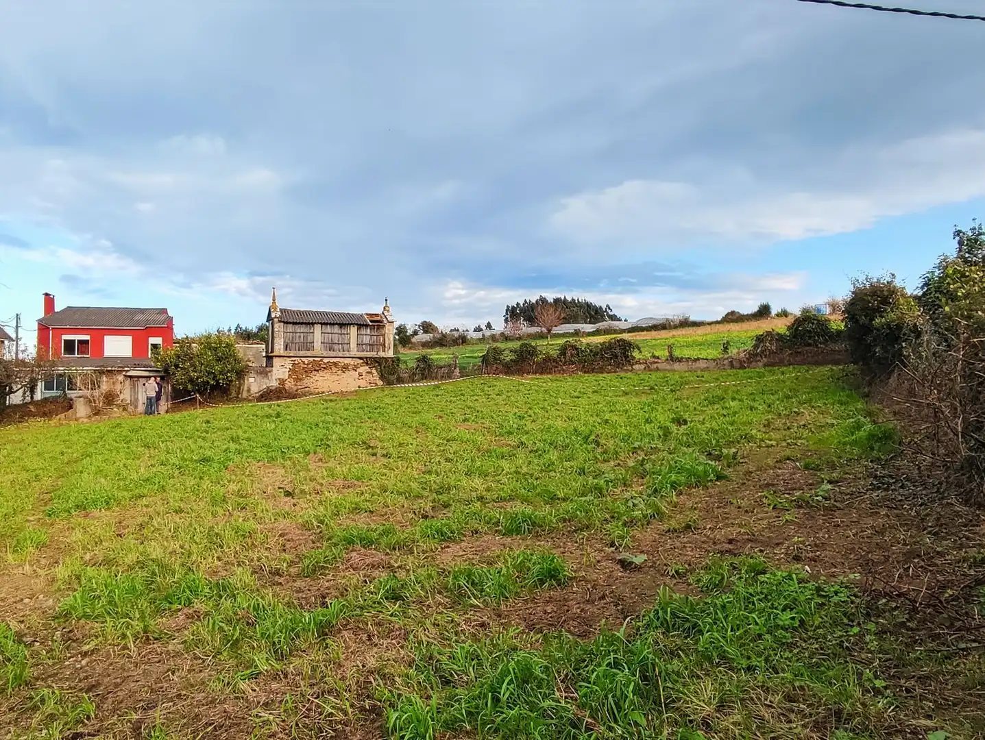 Rural land for sale in armenton, imagen 12