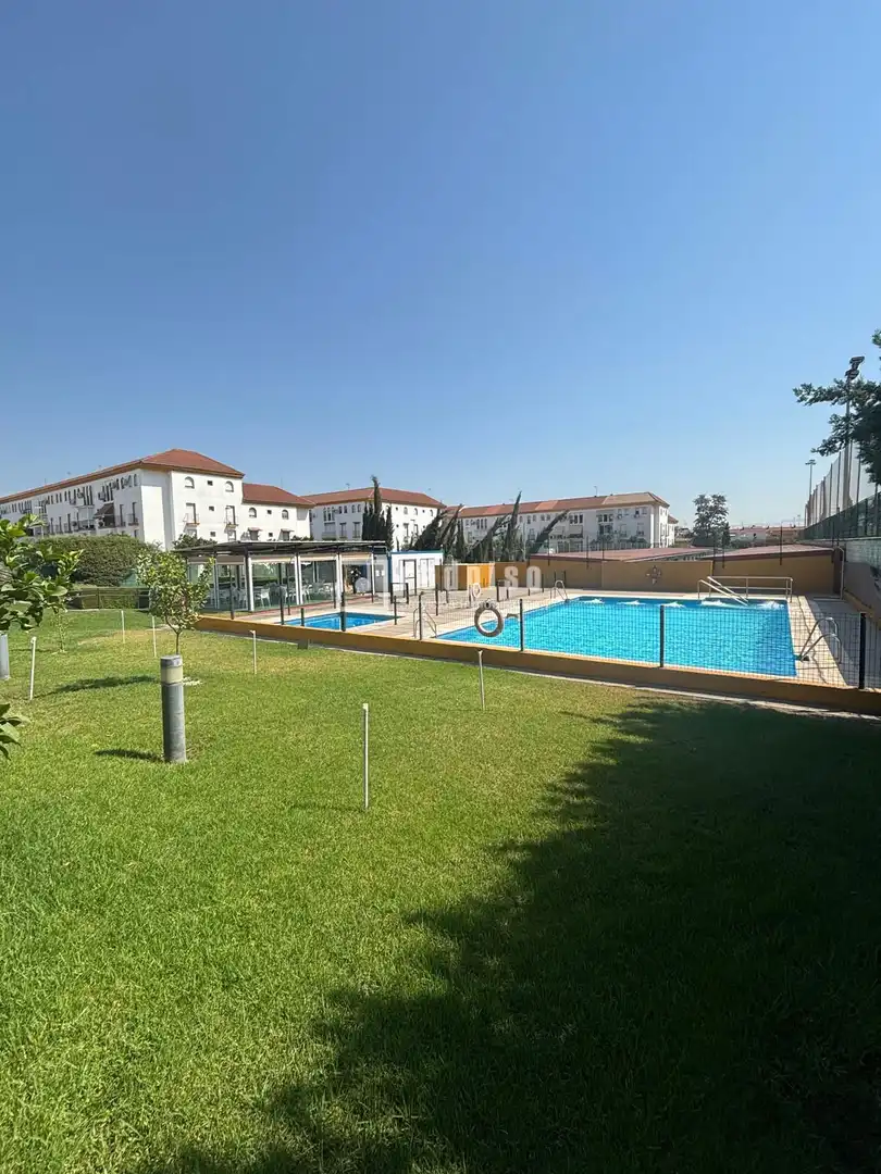Piscina de Piso en venta en Mairena del Aljarafe con Aire acondicionado