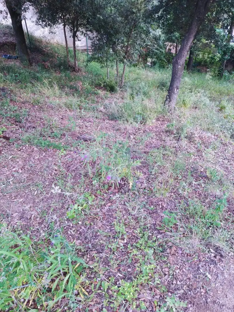 Residential for sale in Gualba