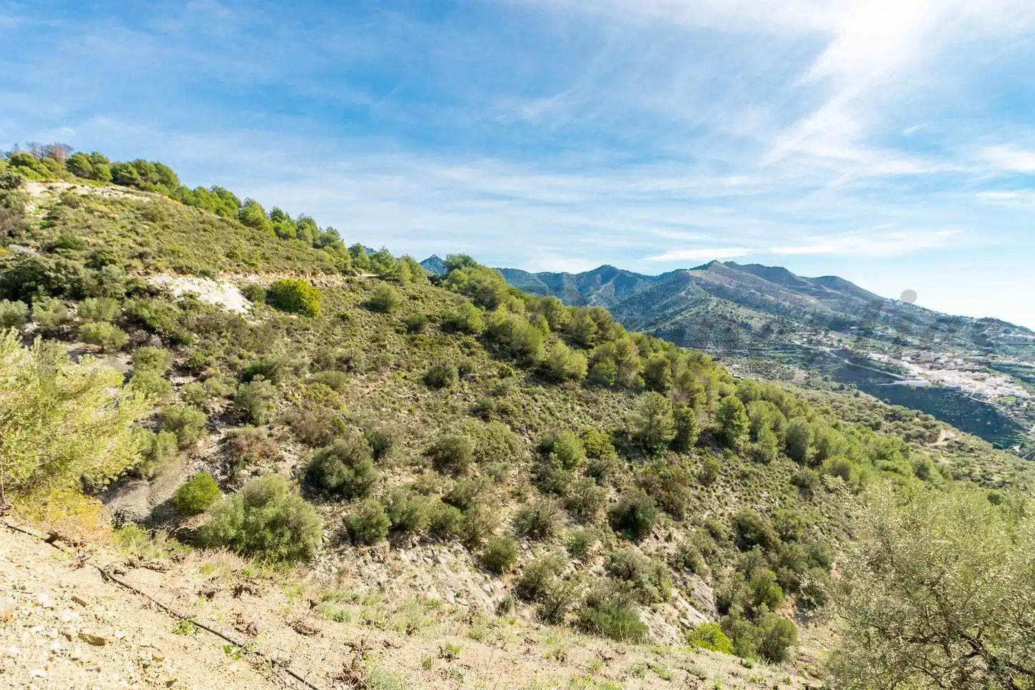 Terreny rústic en venda a Canillas de Albaida, imagen 4