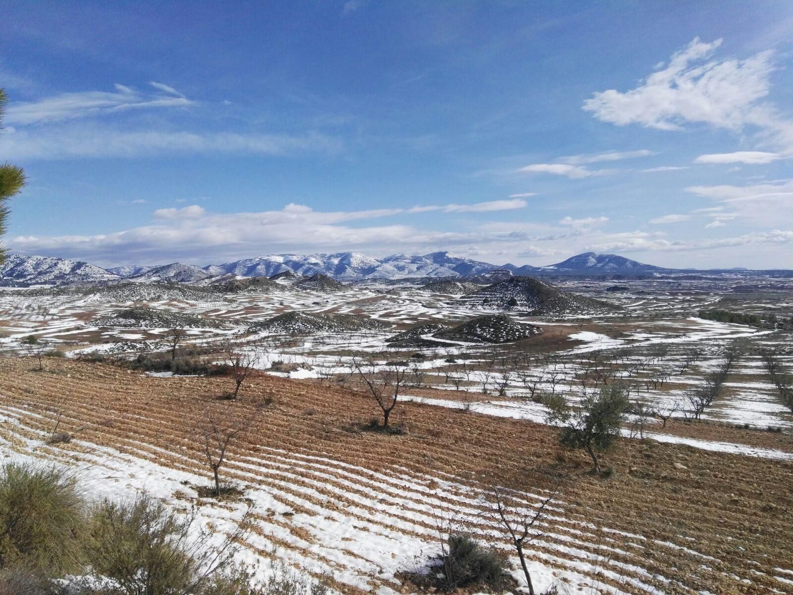 Vista exterior de Finca rústica en venda en Lorca amb Terrassa