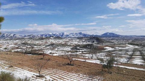DISFRUTA DE LA MONTAÑA  FINCA DE ALMENDROS CON CASA DE MADERA