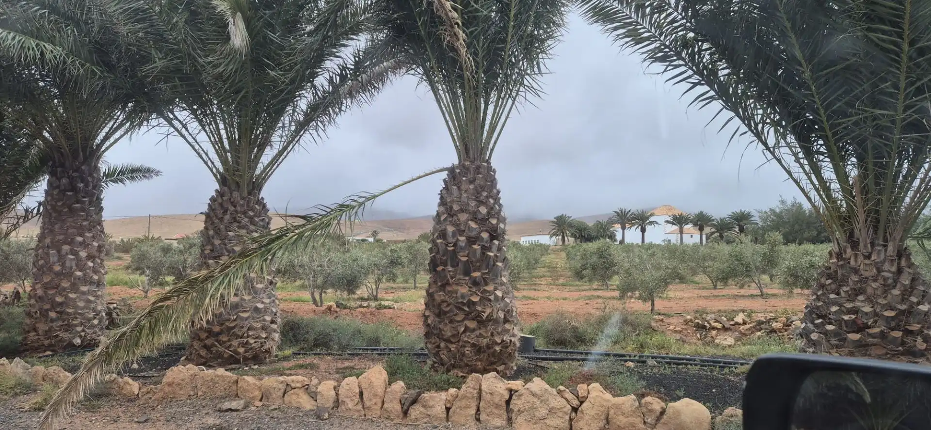 Jardín de Terreno en venta en Antigua