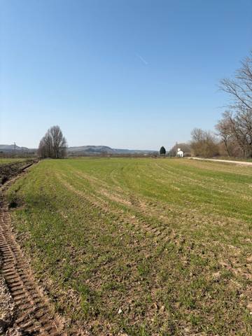 Terreno en Venta en Agoncillo