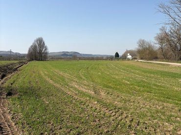 Terrain rustique à vendre à Agoncillo