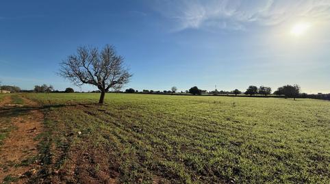 Foto 4 von Grundstücke zum Verkauf in Cala Ferrera - Cala Serena, Felanitx