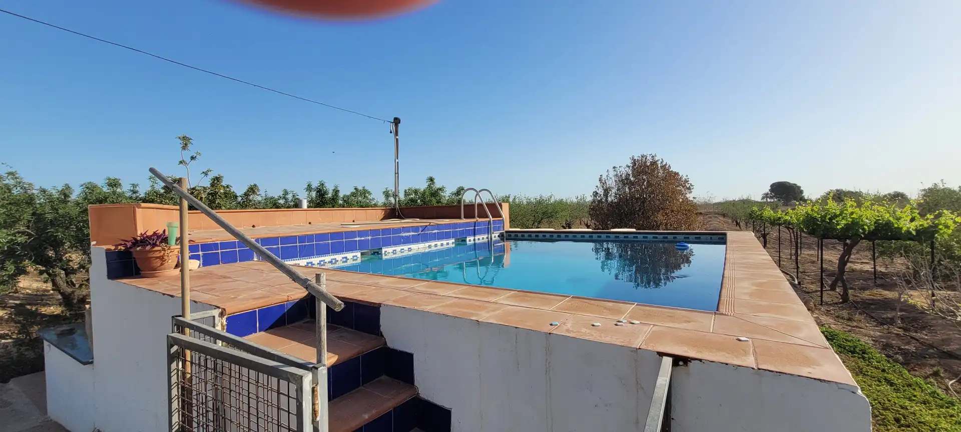 Swimming pool of Country homes for sale in Murcia  with Heating, Private garden and Terrace