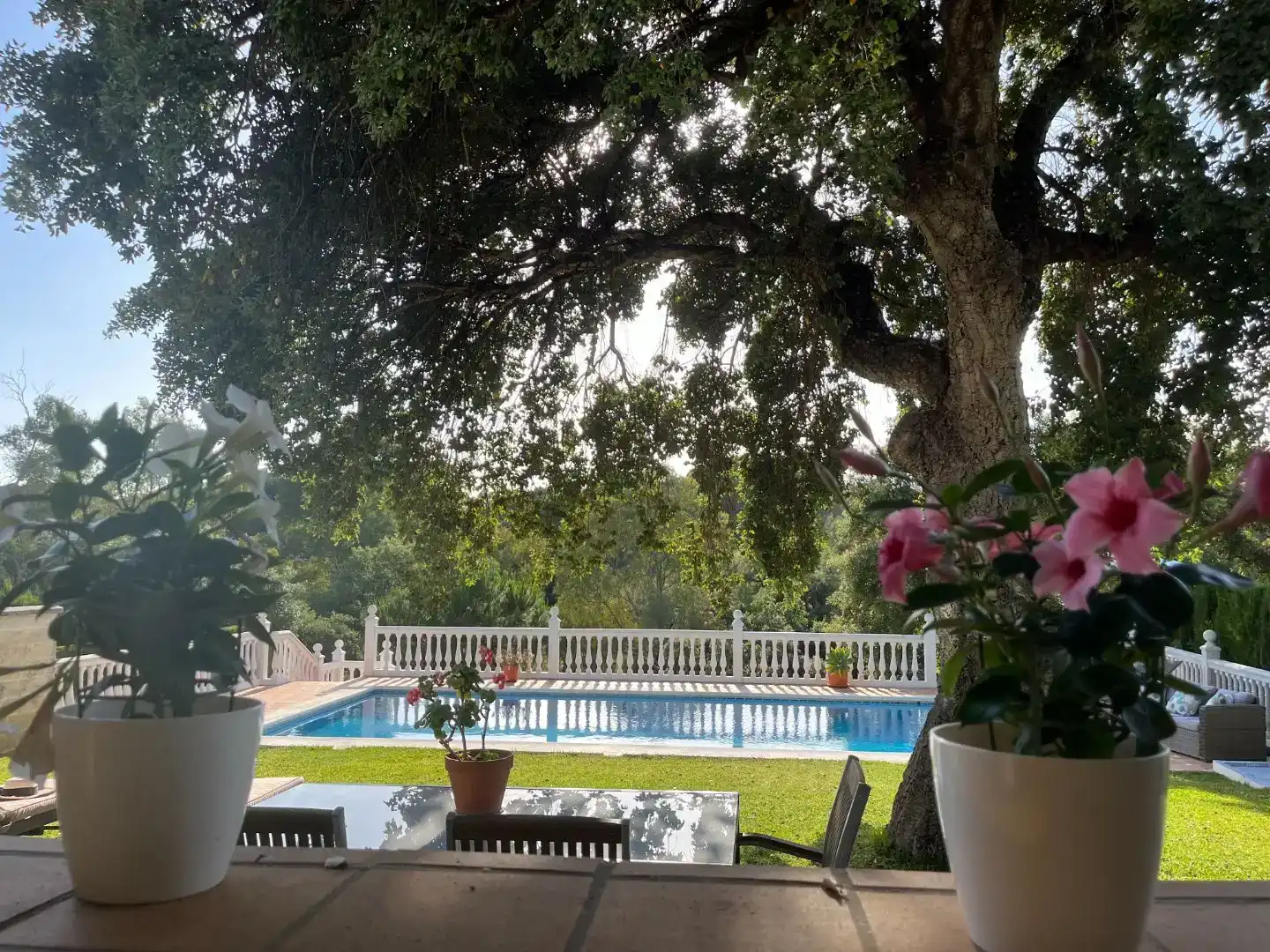 Piscina de Casa o xalet en venda en Marbella amb Aire condicionat i Piscina