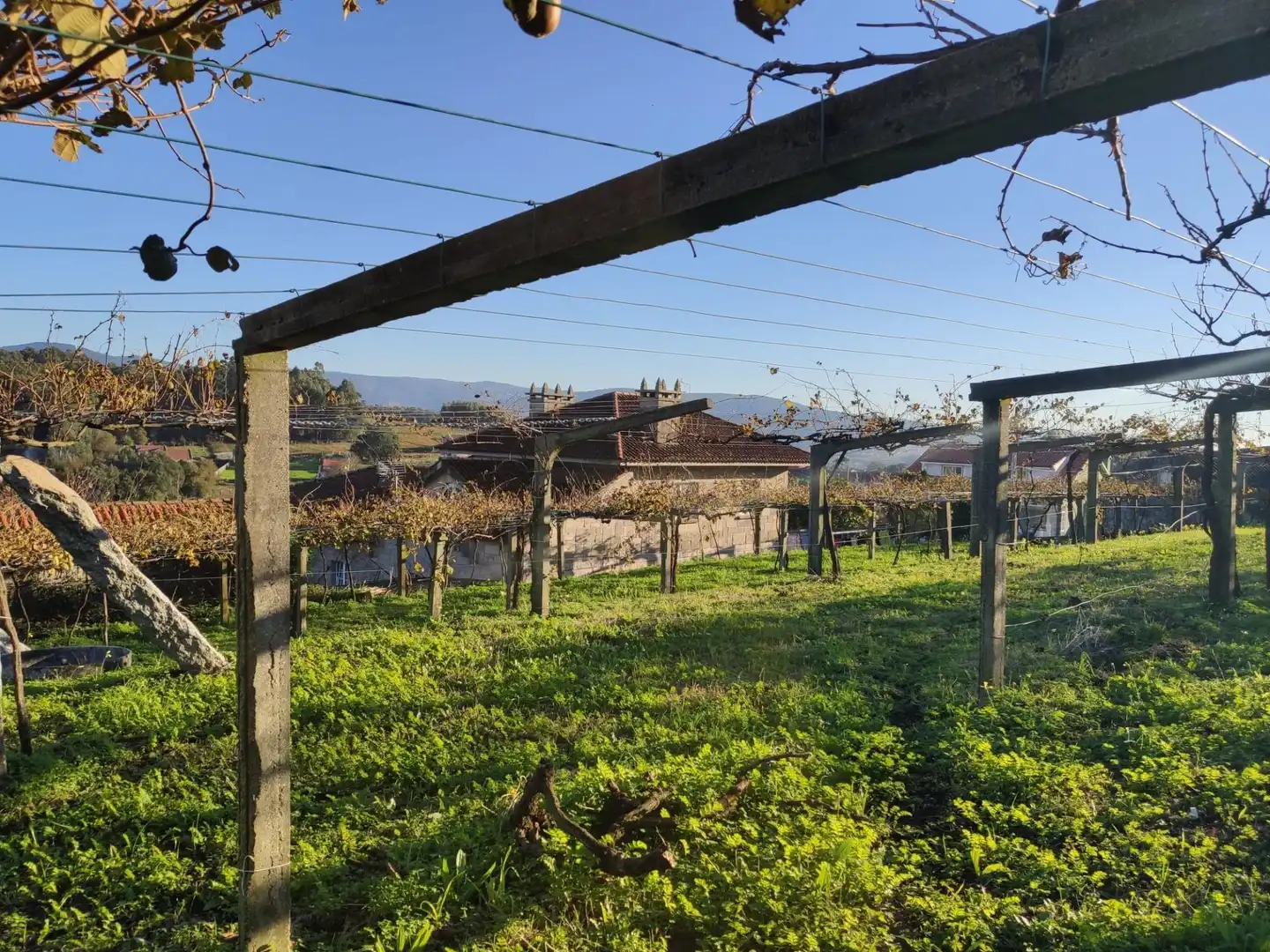 Xalet amb jardí en venda a Lugar CUIÑA-TREMOEDO, imagen 31