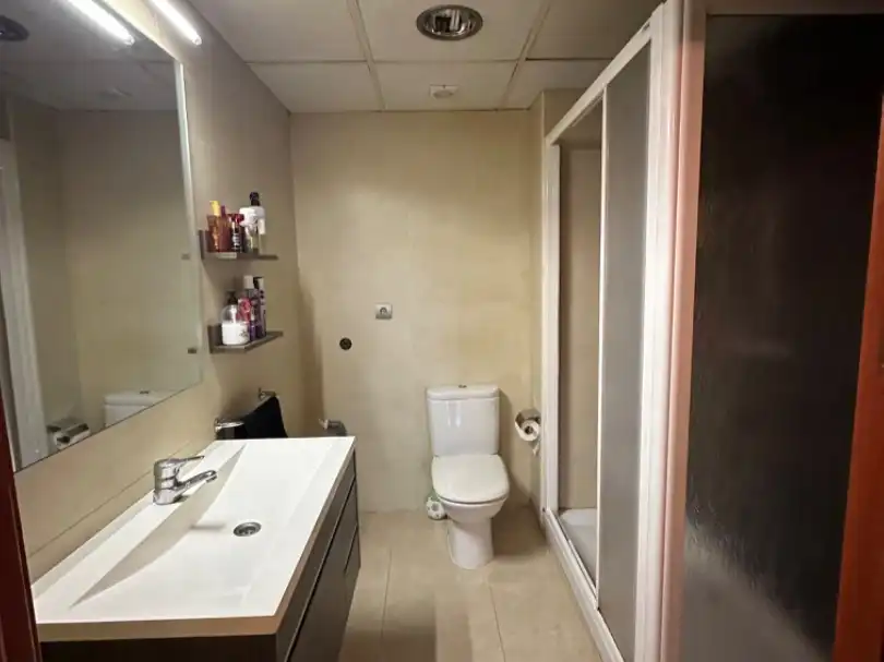 Flat with lift for sale in Avinguda de les Goles de l'Ebre 95, imagen 3