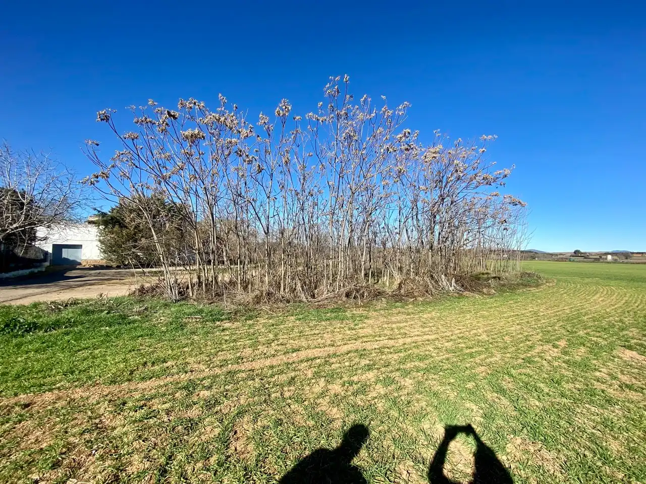 Residencial en venta en Miguelturra