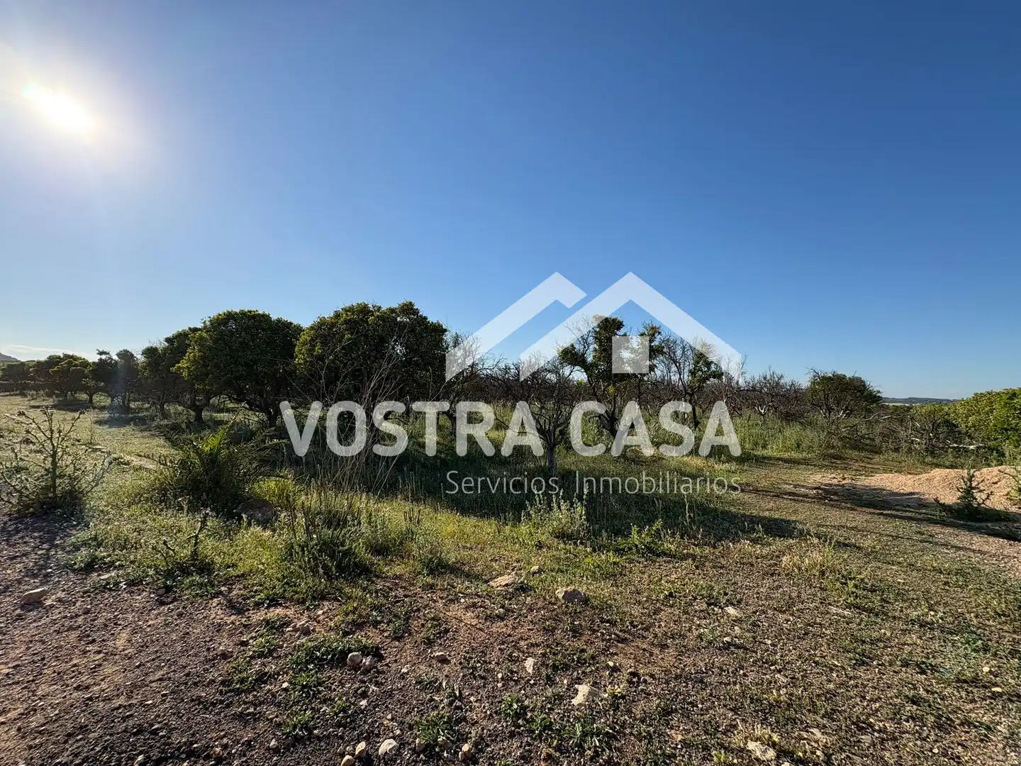 Land for sale in Chiva