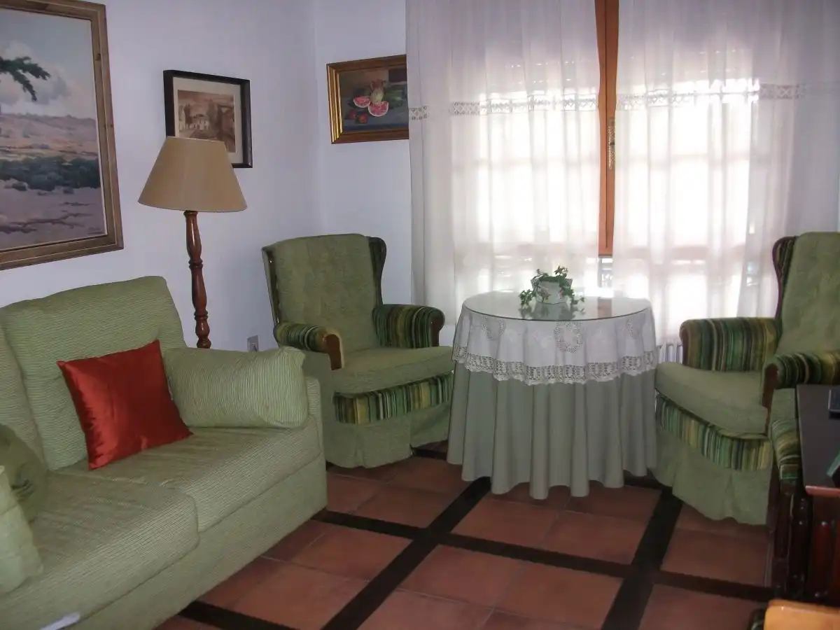 Sala d'estar de Casa o xalet en venda en Albacete amb Terrassa