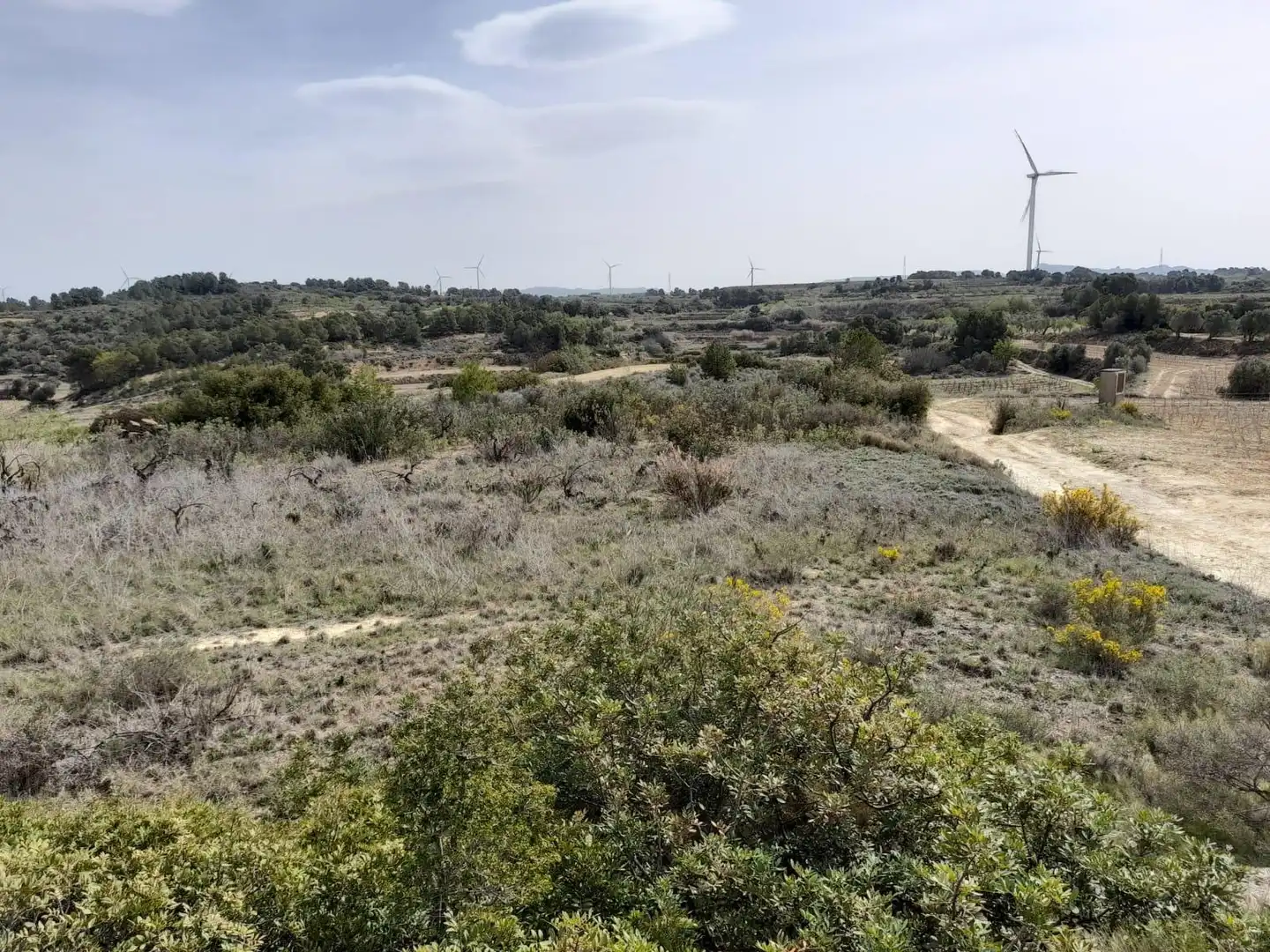 Casa o chalet en venta en Batea con Trastero y Amueblado