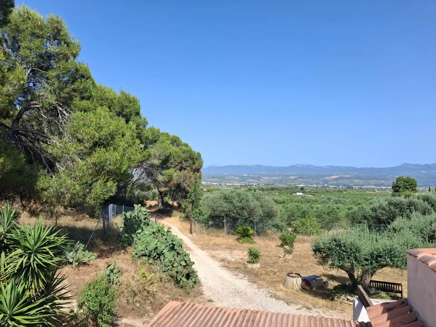 Finca rústica en venda en Móra d'Ebre