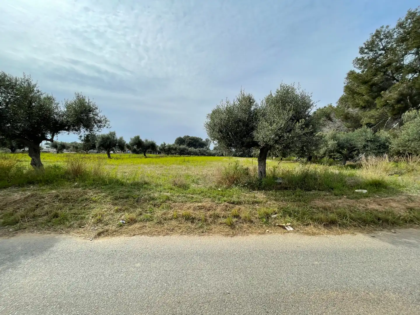 Grundstücke zum Verkauf in Cambrils