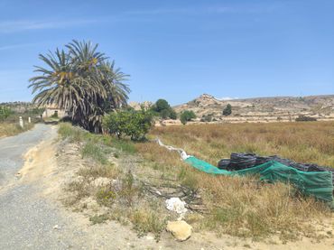 Terreno rustico in vendita a Jubalcoi