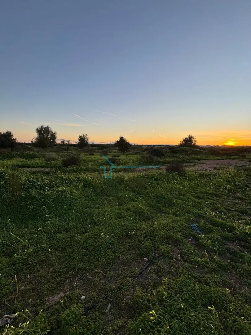 Terreni e lotti in vendita a Los Pinares - La Masia, imagen 6