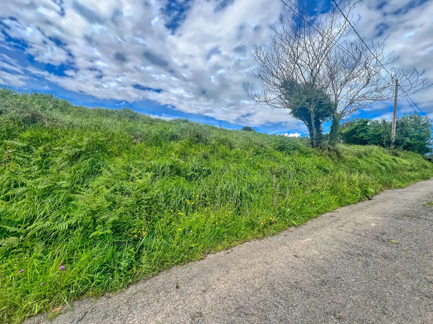 Lands and plots for sale in Pillarno, imagen 5