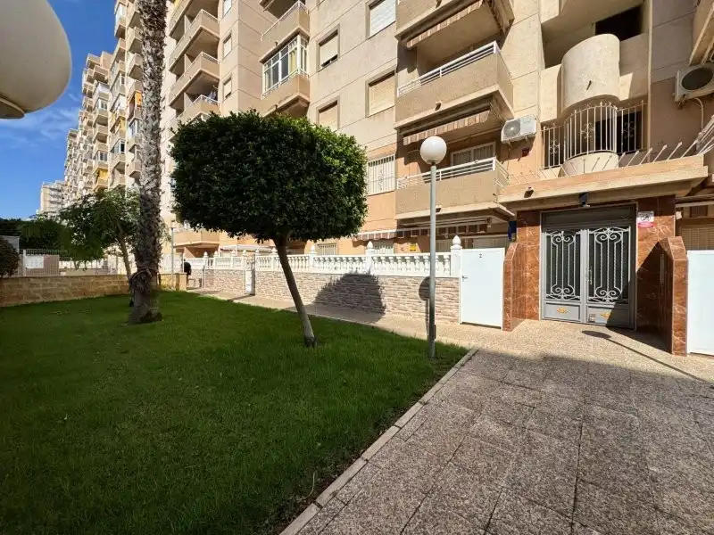 Vista exterior de Apartament en venda en Torrevieja amb Terrassa, Piscina i Moblat