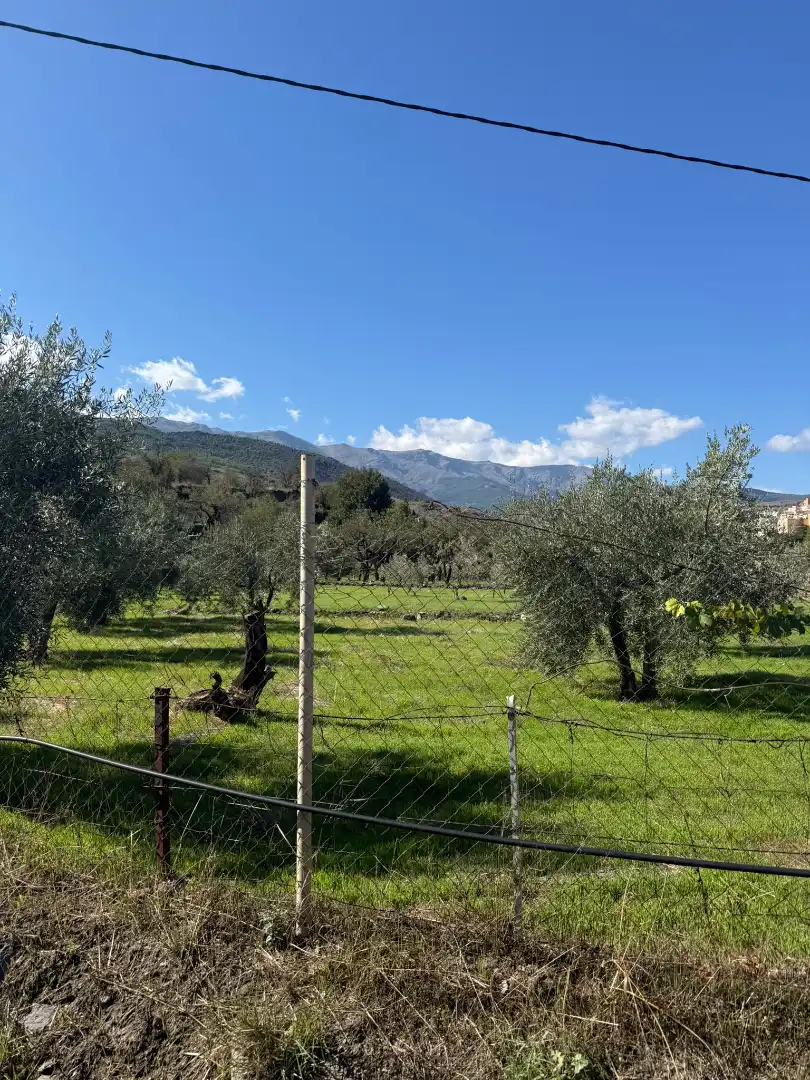 Casa rústica amb terrassa en venda a Abla, imagen 17