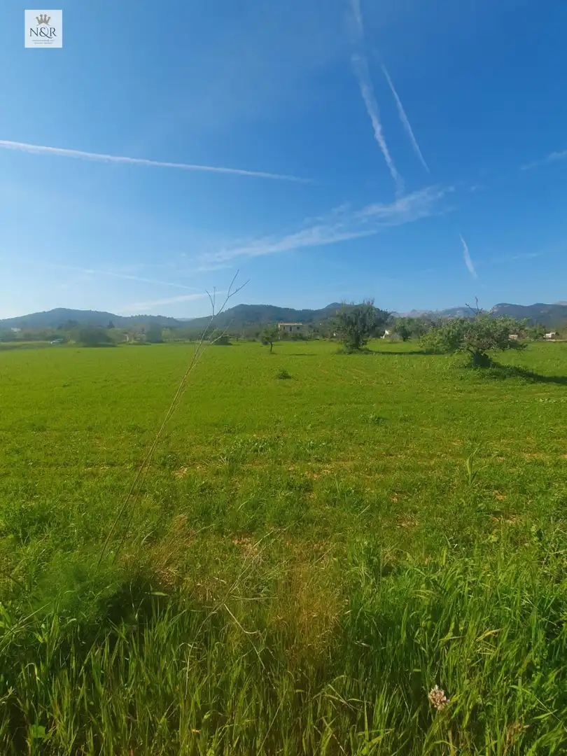 Land for sale in Binissalem