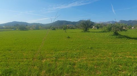 Foto 2 de Terreno en venta en Binissalem, Illes Balears