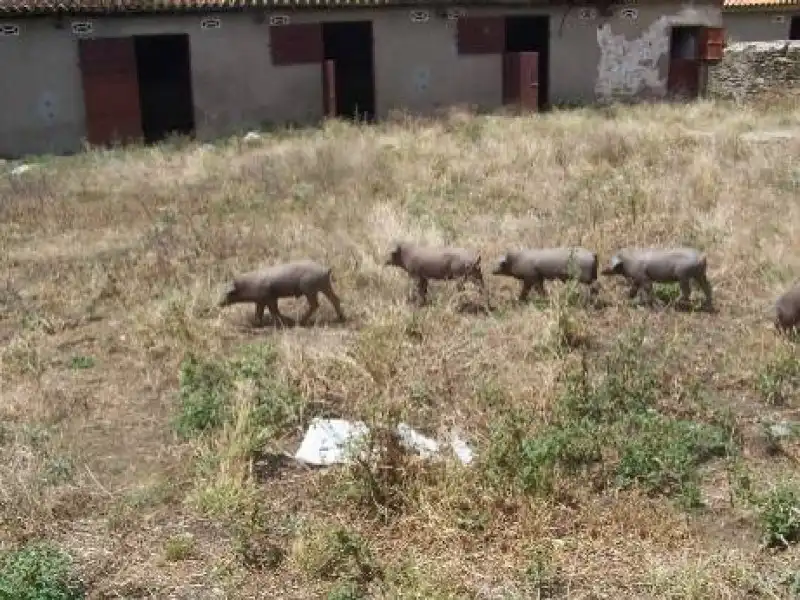 Terreni e lotti in vendita a Alcántara, imagen 28