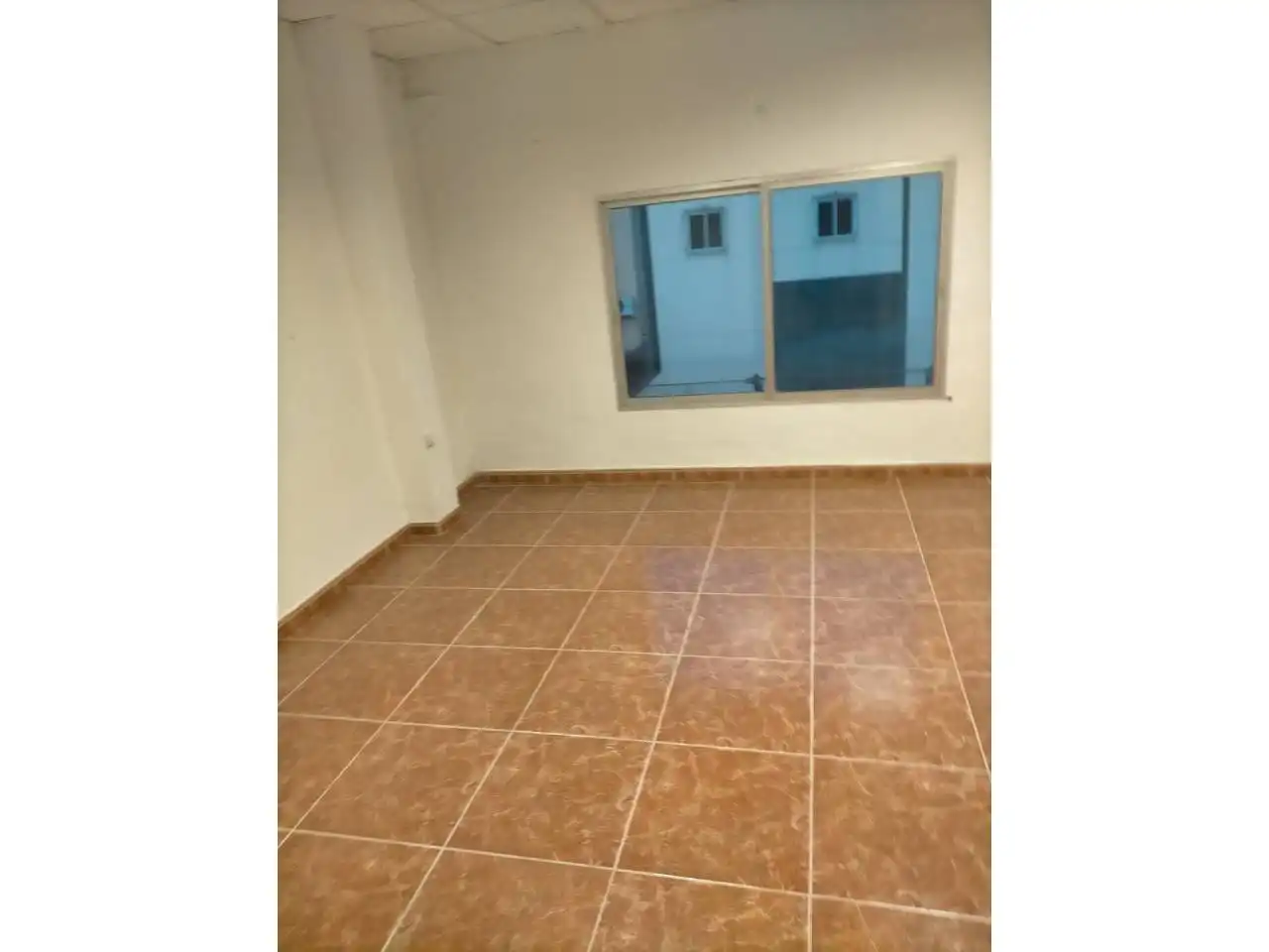 Industrial buildings for rent in Cabra