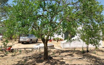 Finca rústica en venda en Carmona