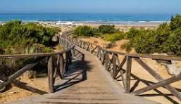 Photo 3 of Premises for rent in Carretera Carretera Barrosa, La Barrosa, Chiclana de la Frontera