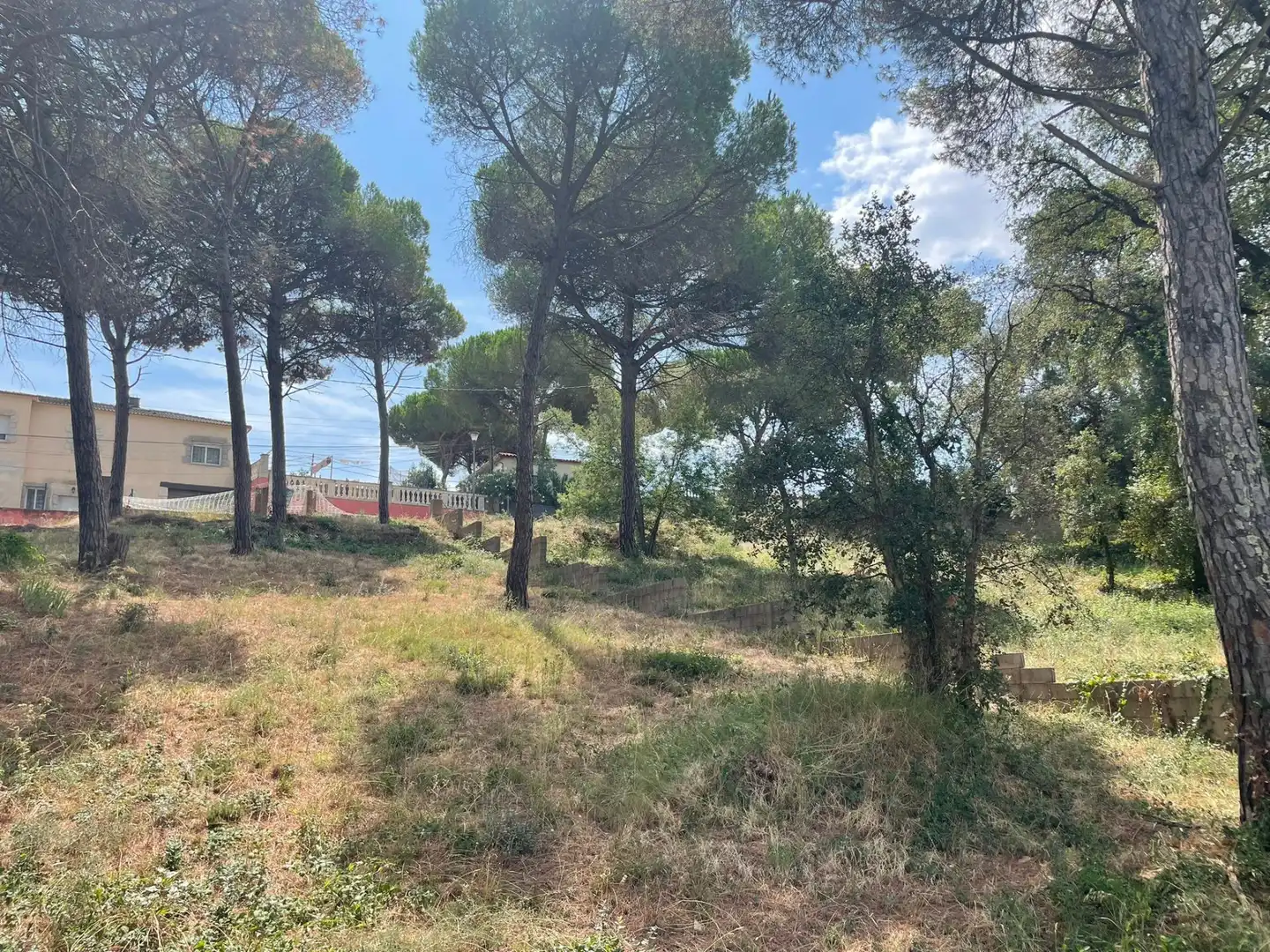 Terreno residencial en venta en Mas Mora - Sant Daniel, imagen 8