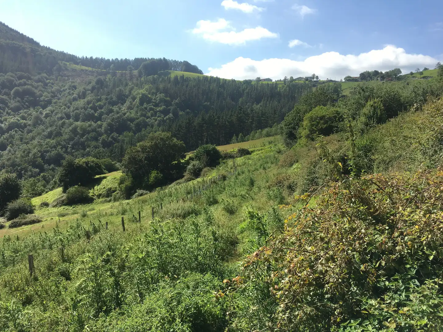 Finca rústica en venta en Beasain