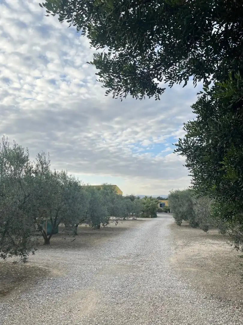 Vista exterior de Finca rústica en venda en Reus amb Calefacció, Terrassa i Moblat